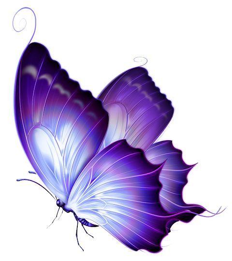 Purple Butterfly Logo - Picture purple butterfly with hearts on wings - RR collections