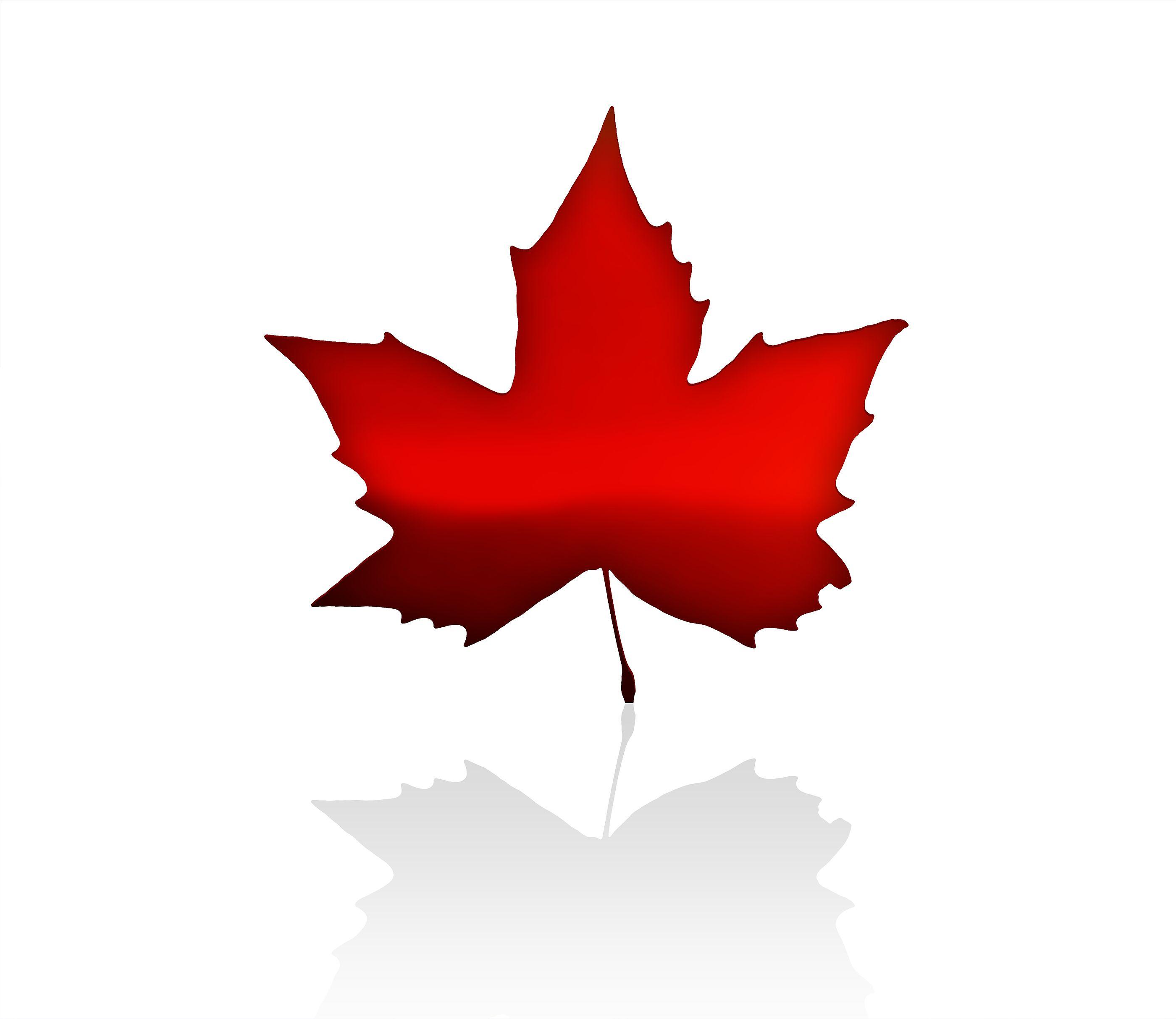 Red Maple Leaf Logo - Red canadian leaf Logos