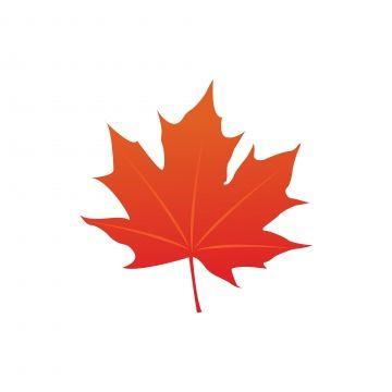 Red Maple Leaf Logo - Maple Leaf PNG Image. Vectors and PSD Files. Free Download on Pngtree