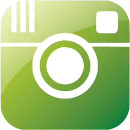 Green Instagram Logo - Web 2 green instagram icon web 2 green social icons 2