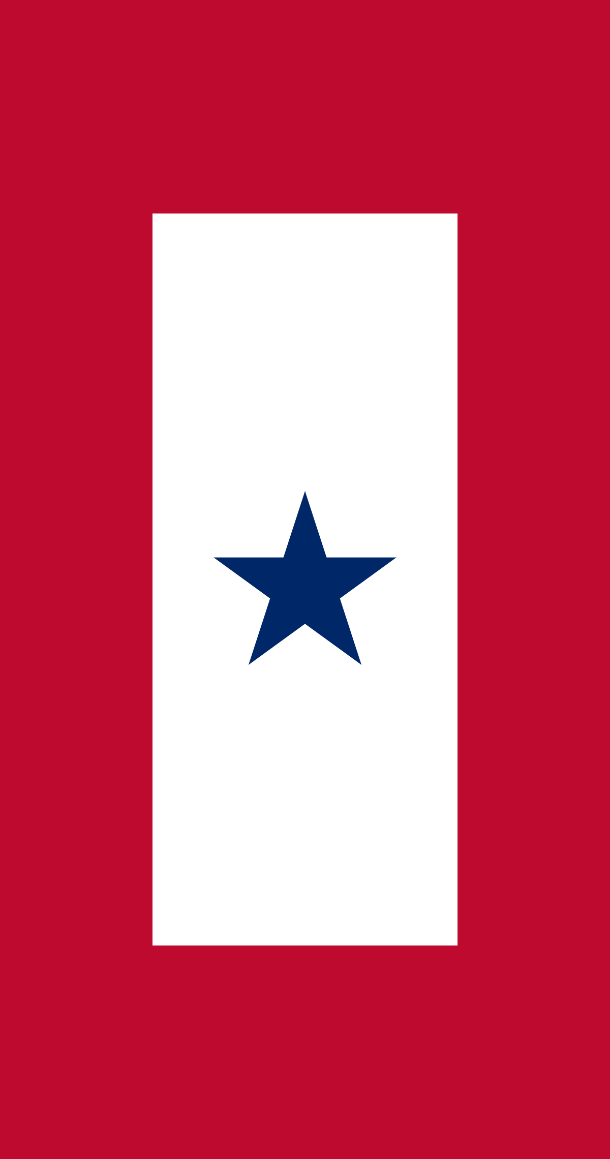 Red and Blue Star Logo - Service flag