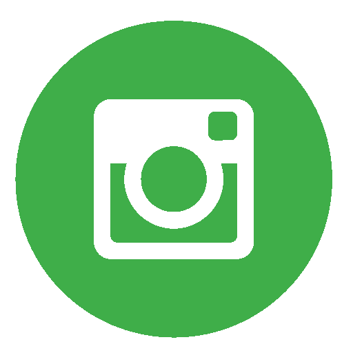 Green Instagram Logo - instagram icon green - Mason Deerfield Chamber of Commerce | Mason, Ohio