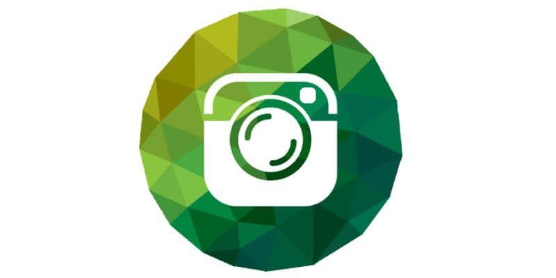 Green Instagram Logo - How to Sell on Instagram and Why Even Bother | NING