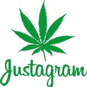 Green Instagram Logo - Vinyl sticker Justagram canabis Rasta Green logo car or decor decal