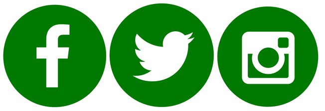 Green Instagram Logo Logodix