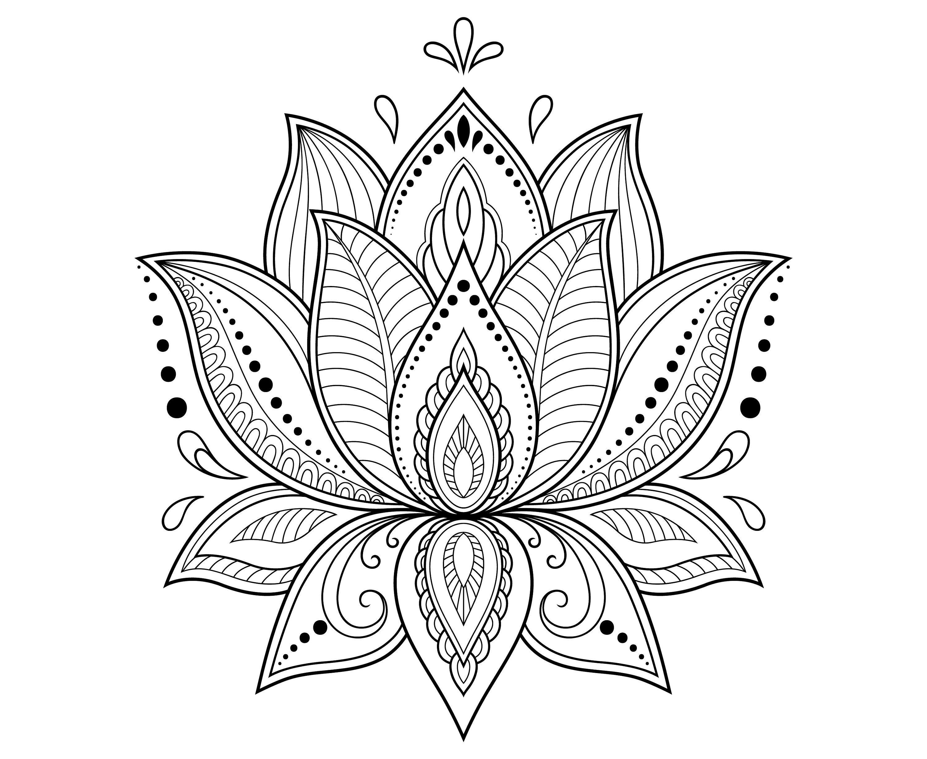 Lotus Flower Graphic Logo