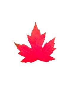 Red Maple Leaf Logo - Maple Leaf Artisans