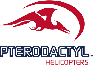 Pterodactyl Logo - River Run to Fernvale | Pterodactyl Helicopters