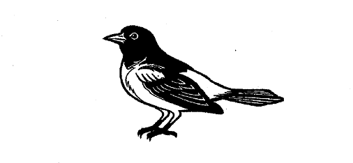Black and White Bird Logo - Trademarkology | Baltimore Orioles Clinch Trademark Protection ...
