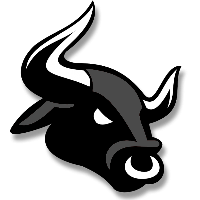 All-Black Bulls Logo - Black Bulls - ARL - Adult Rookie League