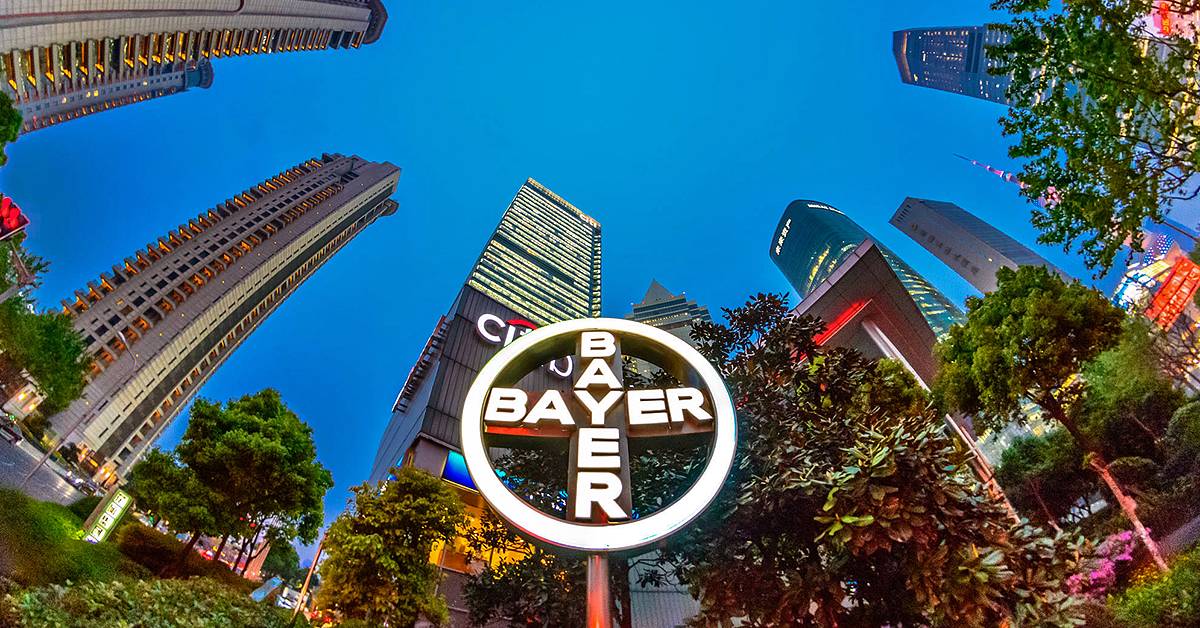 New Bayer Logo - The Bayer Cross