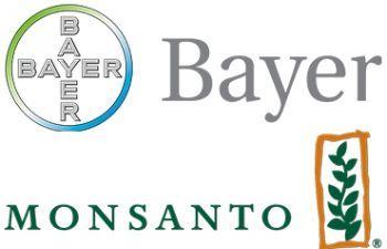 New Bayer Logo - EPA introduces new restrictions on Bayer's dicamba herbicide Oils ...