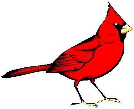 Red Bird with a Red a Logo - Some History of Red Bird