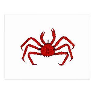 King Crab Logo - Red Crab Logo Postcards
