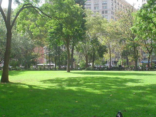 Grass Oval Logo - All About the Lawn - Madison Square Park Conservancy