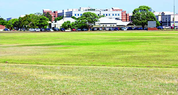 Grass Oval Logo - Bye bye grass