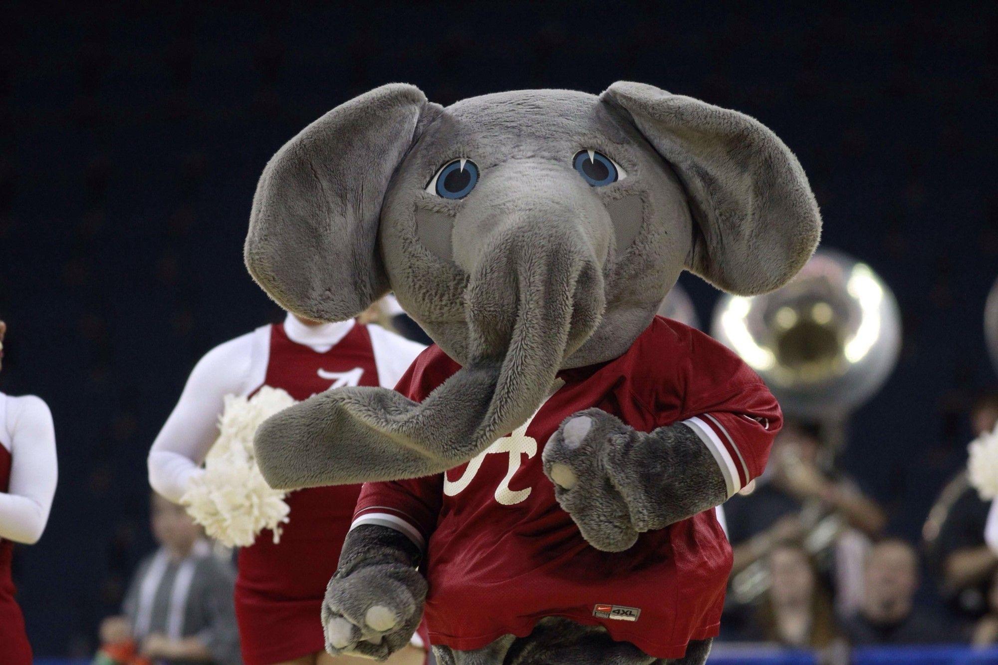 Bama Elephant Logo - The Elephant Story of Alabama Athletics