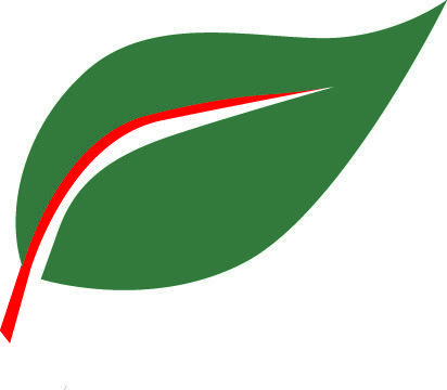 Curved Leaf Logo - References
