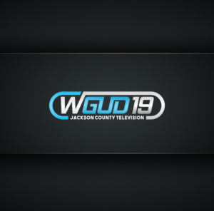 Television Station Logo - 34 Modern Serious Television Station Logo Designs for WGUD 19 ...