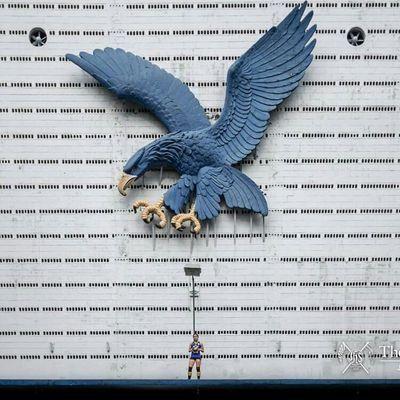 Ateneo Blue Eagle Logo - Ateneo Lady Eagles (@admuheartstrong) | Twitter