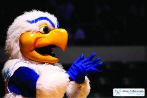 Ateneo Blue Eagle Logo - The Ateneo Blue Eagle: Flying high on its wings