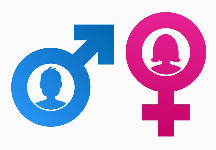 Blue and Pink Logo - The Trouble with Pink and Blue: Why gender stereotypes are bad