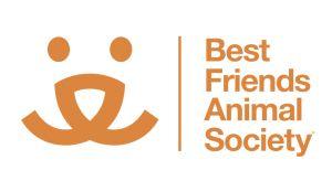 Great Animal Logo - Eleventy Helps Nonprofit Promote Peer Engagement Online