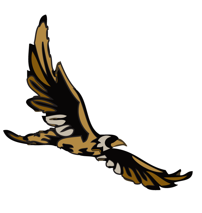 Elementary School Hawk Logo - Hazelton Elementary / Homepage
