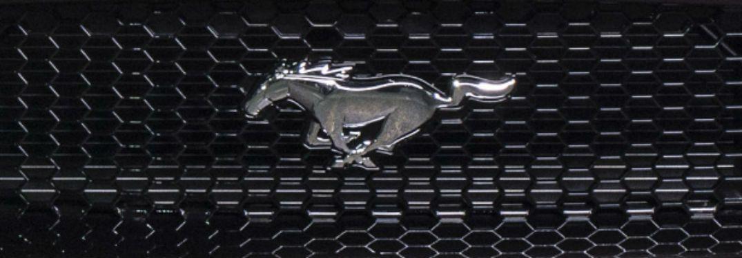 Black Ford Mustang Logo - Watch Now: 2019 Ford Mustang Shelby GT500 Unveiling