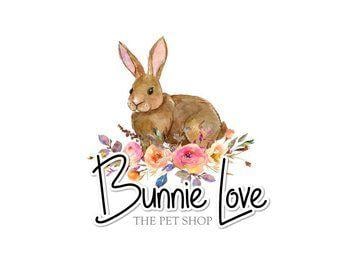 Brown Rabbit Logo - Little bunnie bunny