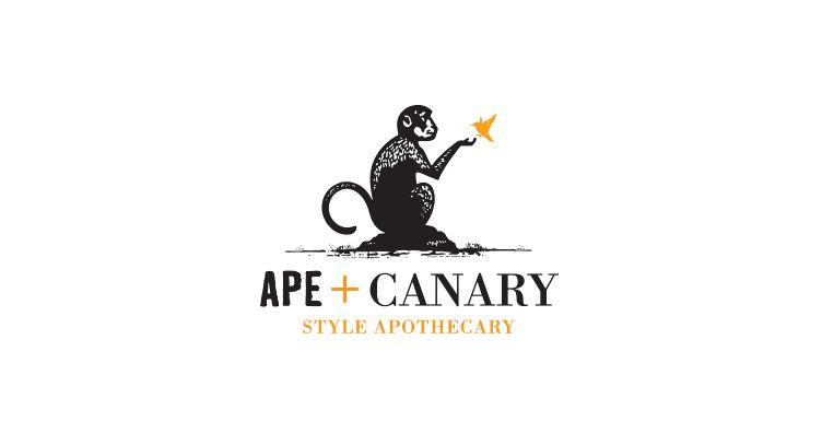 Canary Logo - A3 Design - Ape + Canary Branding - Logo and Brand Design
