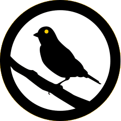 Canary Logo - canary-logo | Nimbox