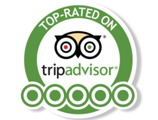 5 Star TripAdvisor Logo - 5 years of 5 star certificates of excellence. - Picture of Chandpur ...