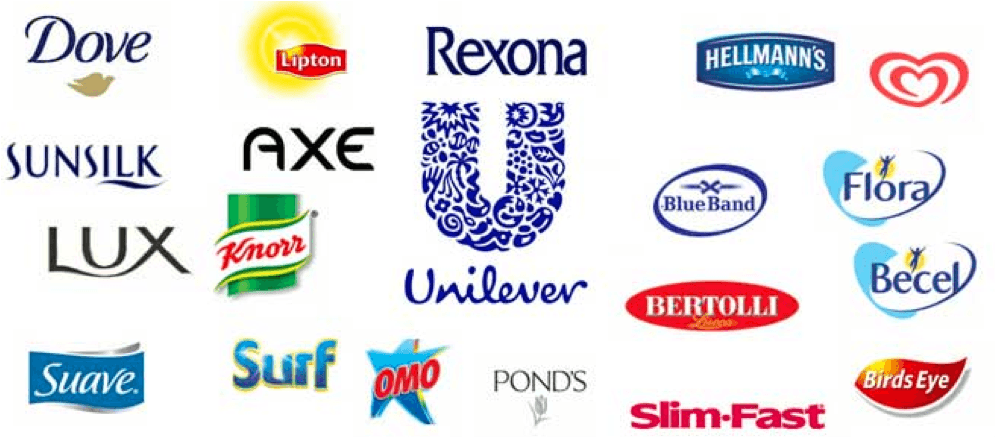 Unilever Brand Logo - Branded House or House of Brands? - IDeas BIG