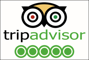 5 Star TripAdvisor Logo - What a brilliant Trip advisor review we received
