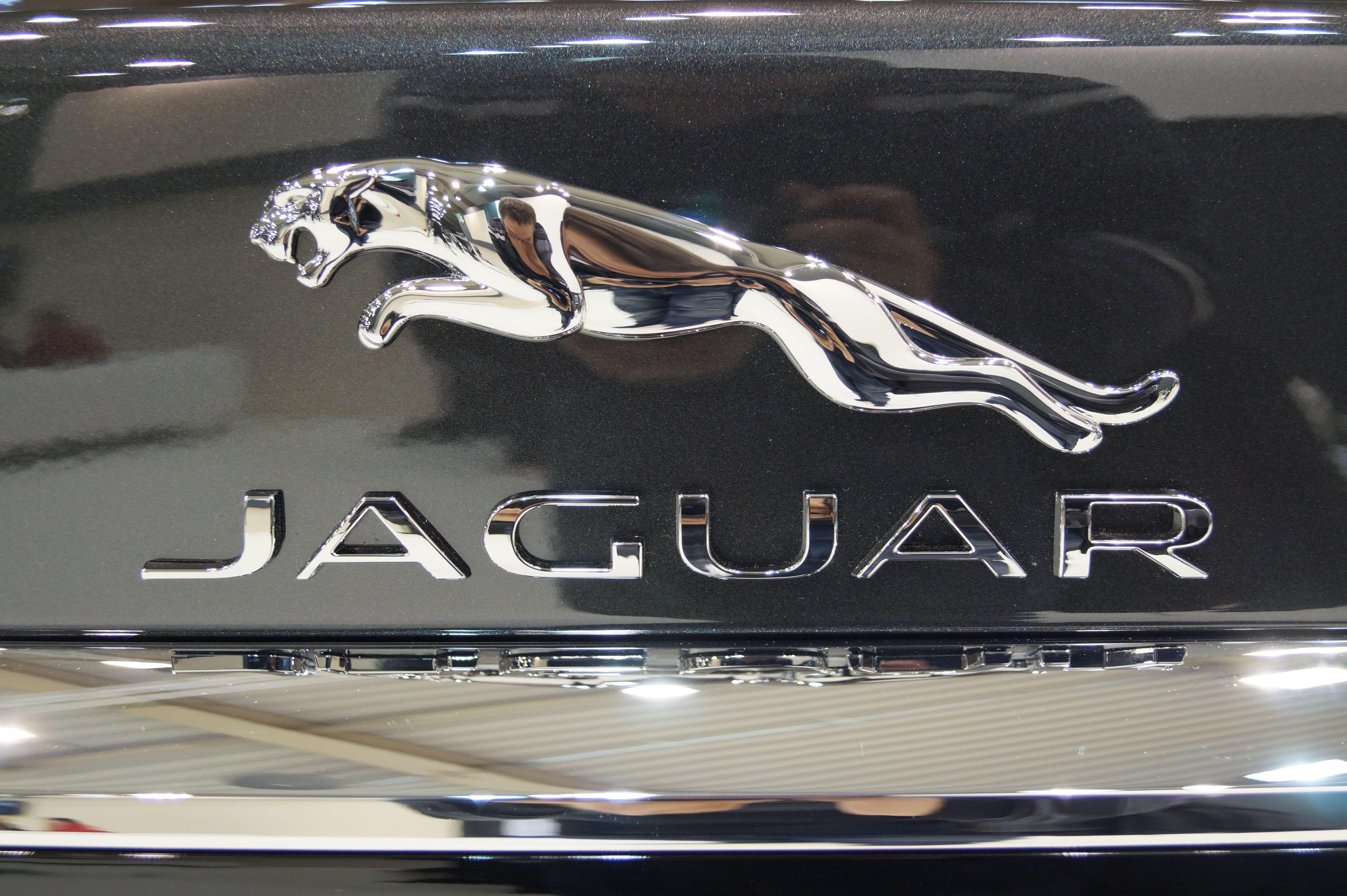 Jaguars Original Logo - File:Jaguar - logo (MSP15).JPG - Wikimedia Commons