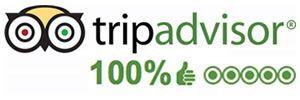 5 Star TripAdvisor Logo - Walking Tours of Ireland