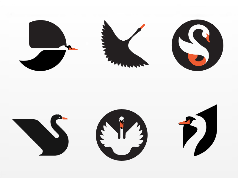 Logos with a Swan Logo - Collection of failed swan logos by Hernan Valencia | Dribbble | Dribbble