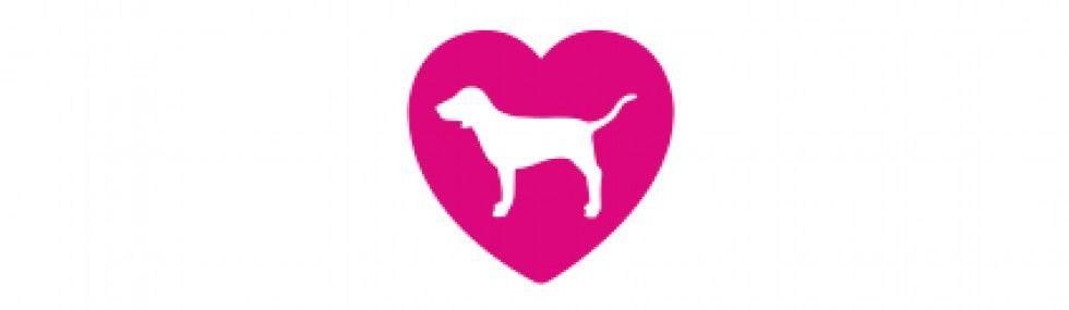 vs Pink Dog Logo - Join PINK Nation