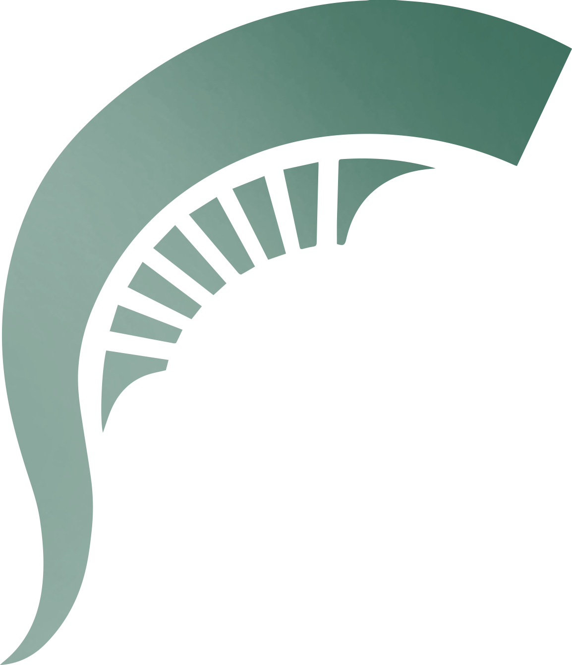 Michigan State Spartans Logo - Design and Visual Identity | The MSU Brand | Michigan State University