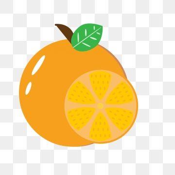 Orange Fruit Logo - Orange Fruit PNG Images | Vectors and PSD Files | Free Download on ...