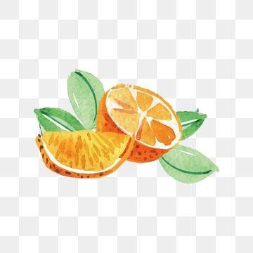 Orange Fruit Logo - Orange Fruit PNG Images | Vectors and PSD Files | Free Download on ...