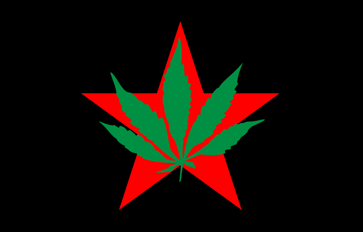 Yippy Logo - Youth International Party
