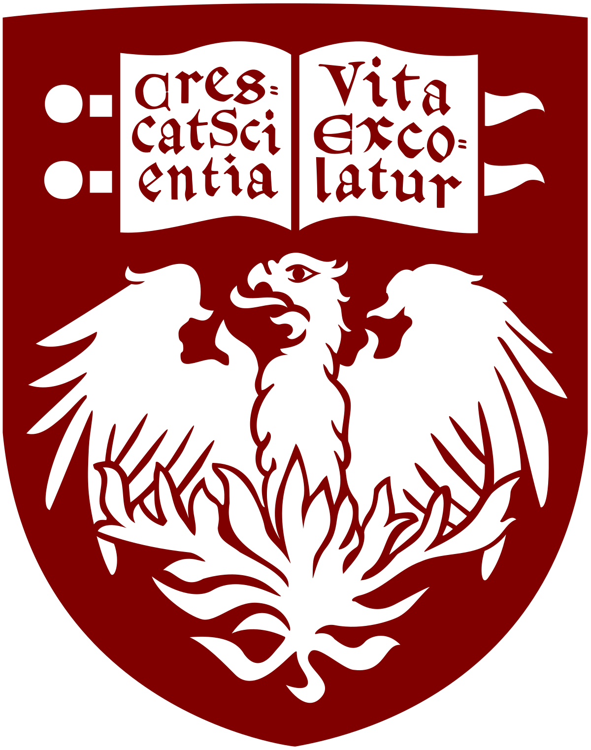 Well Known College Logo - University of Chicago