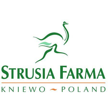 Ostrich Logo - nasze logo - Picture of Ostrich Farm Kniewo, Kniewo - TripAdvisor