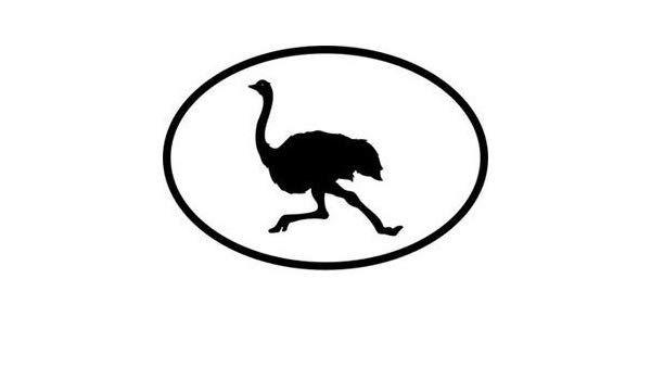Ostrich Logo - Running fast ostrich logo, Vinyl sticker, stickers, Deco, H