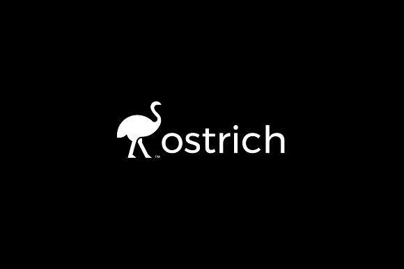 Ostrich Logo - Ostrich Logo Design Logo Templates Creative Market