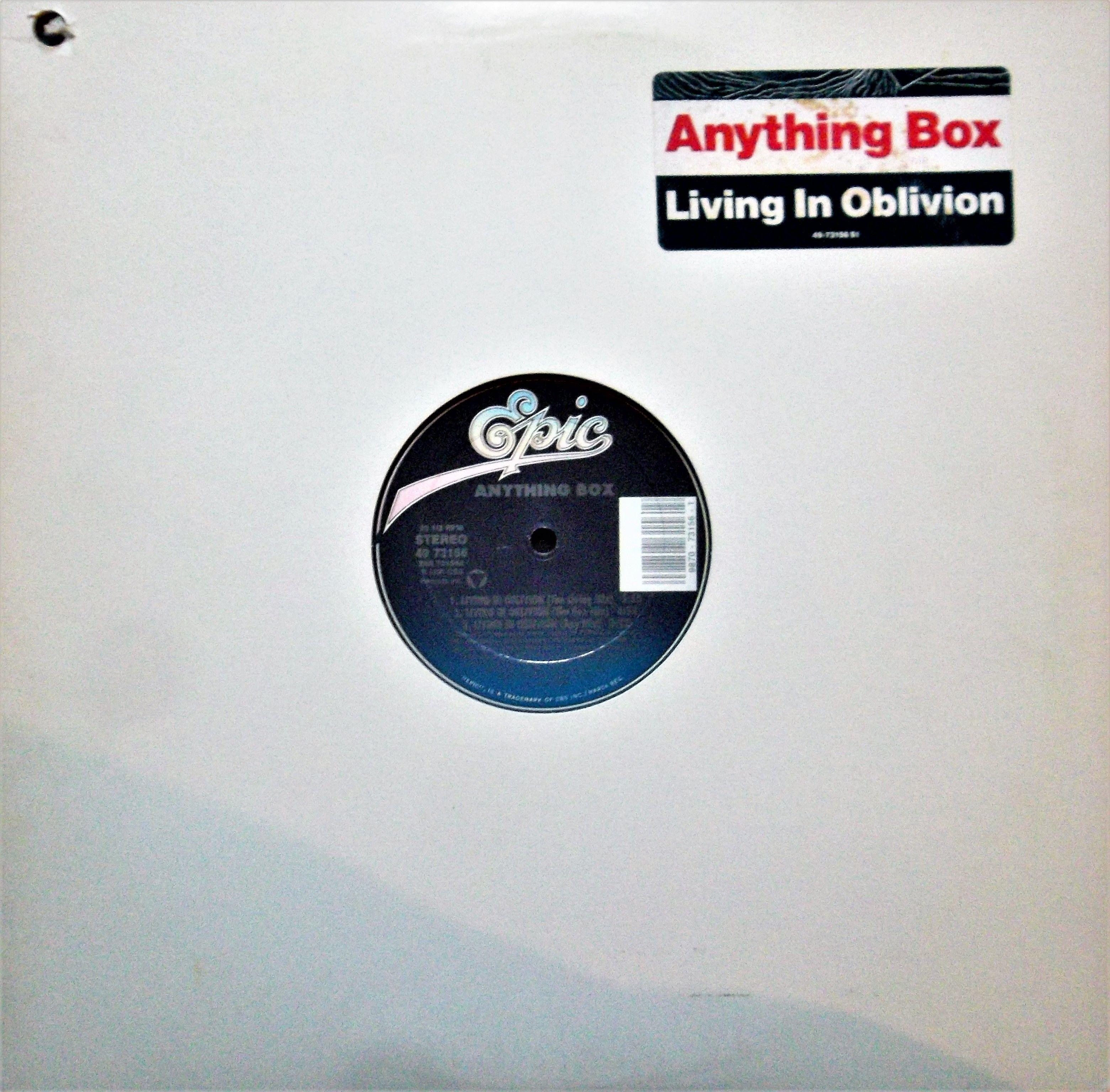 Anything Box Logo - Anything Box – Living In Oblivion (US 12″) | myvinyldreams
