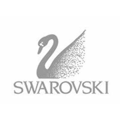 Swarovski Logo - blog-swarovski-logo - Janice Milligan | theopticians.ie