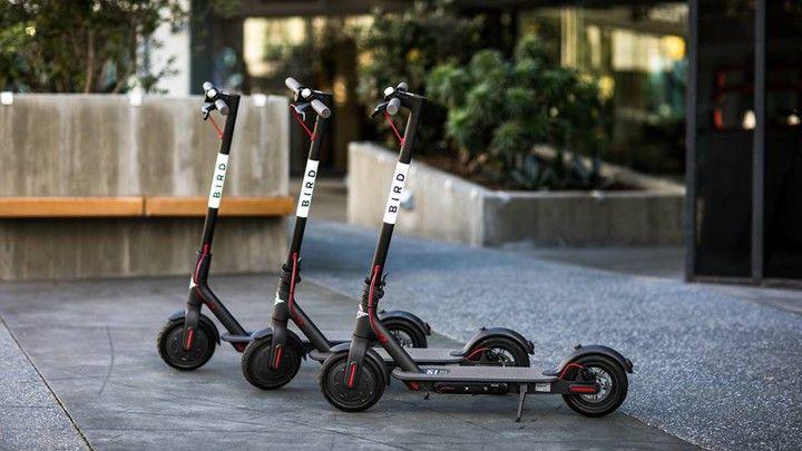 Bird Scooter Logo - Who Charges Those Electric Bird Scooters? - The Atlantic